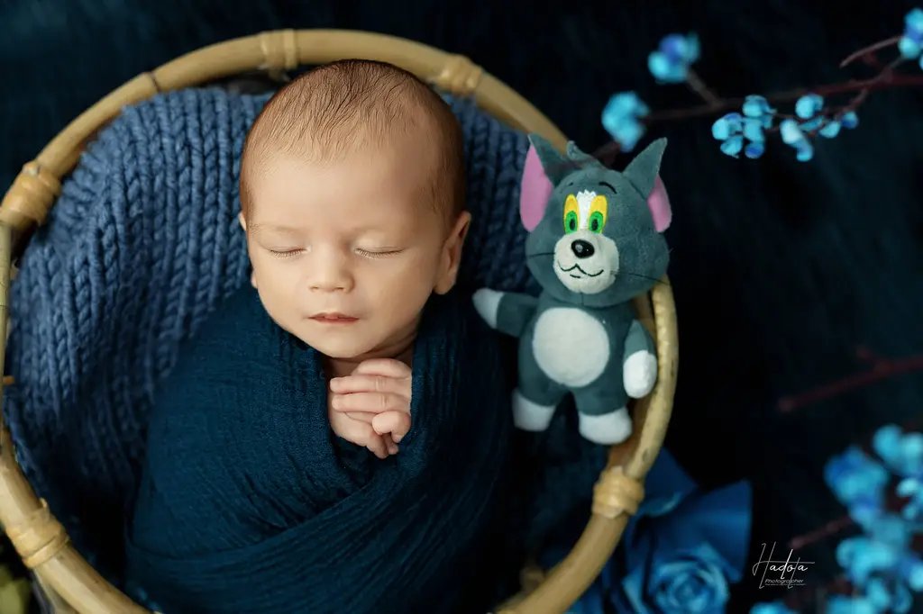 Preparation Shoot 50